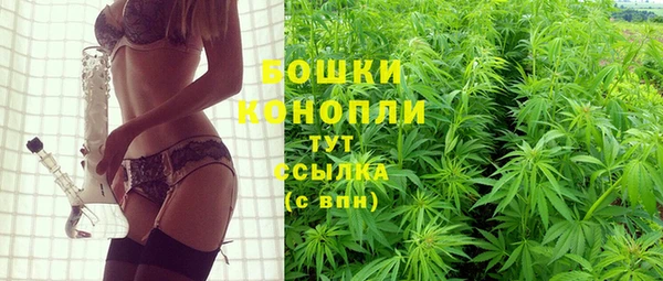 ALPHA PVP Каменногорск