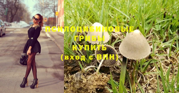 ALPHA PVP Каменногорск